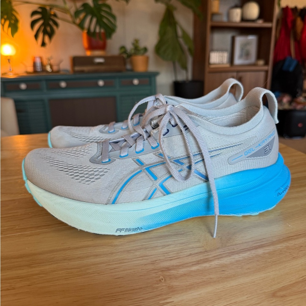 Asics Gel Kayano 31
